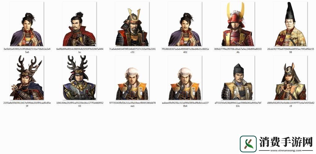 太阁立志传5浪人豪杰谁是你的智勇之选