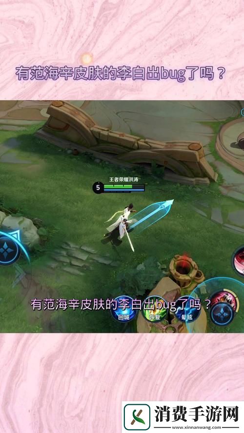 王者荣耀李白范海辛皮肤价格亲民与特性揭秘