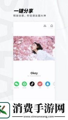 成年男女看视频的软件专业版