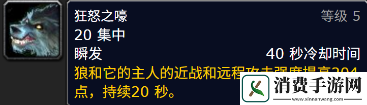 魔兽世界巫妖王之怒怀旧服玩家太能卷了-为了提高DPS竟把低等级技能都用上了