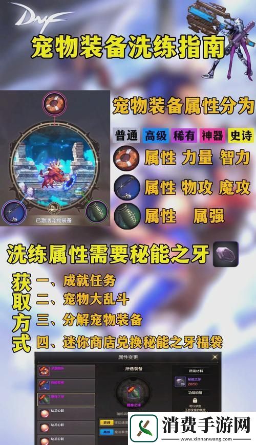 DNF宠物系统深度解析46级漫游玩家该何去何从
