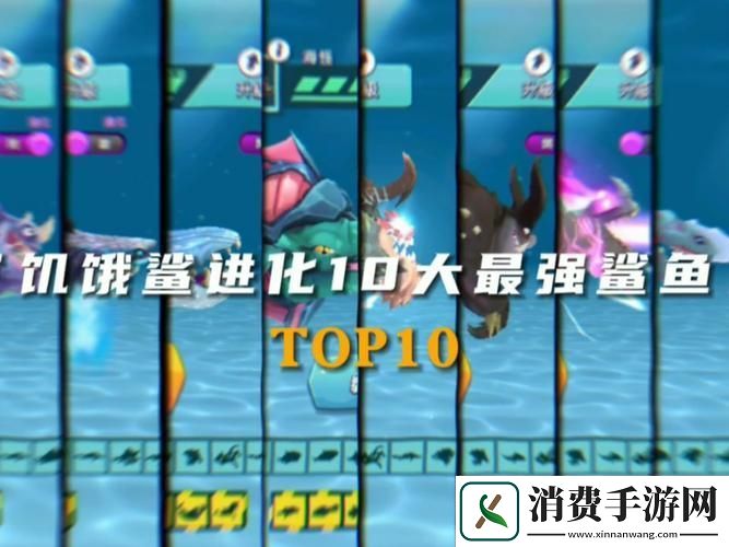 饥饿鲨横冲直撞解压新选择休闲冒险乐无边