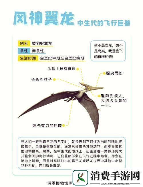 方舟手游探索指南揭秘风神翼龙的踪迹