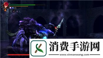 大航海之路最小的鸟：探秘大航海之路中最迷人的鸟类种群与其生存奥秘