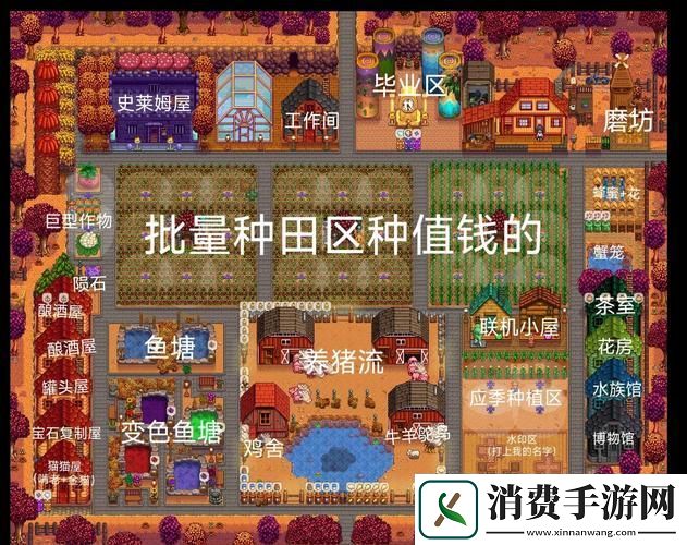 星露谷物语鸡舍移动全攻略打造你的理想农场