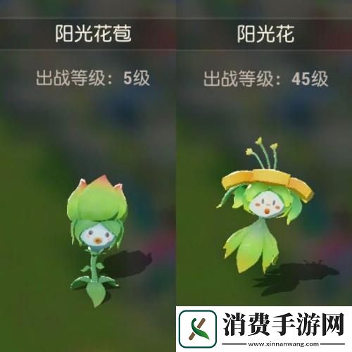 海岛纪元宠物骑乘证获取全攻略