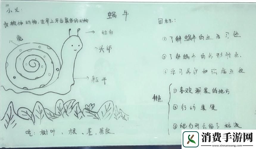 探秘心灵深处最强蜗牛与乌鸦30次灵魂碰撞全解析