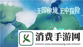 我做夫人那些年怎么买花-了解如何挑选最适合的花卉与花束