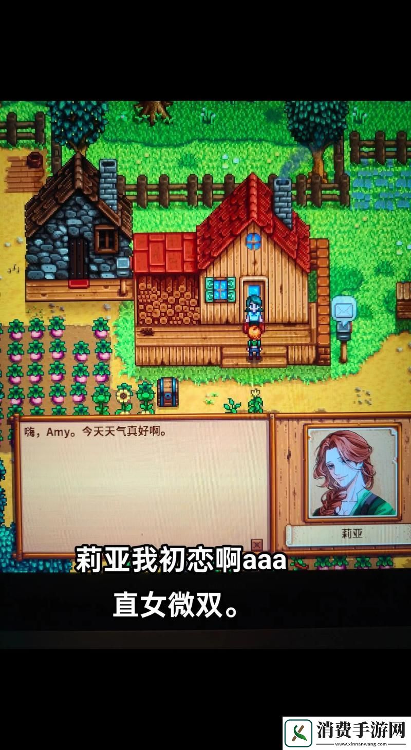 星露谷物语浪漫揭秘哈维婚后生活大起底