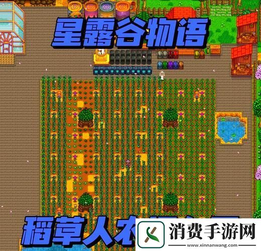 星露谷物语打造你的专属守护稻草人