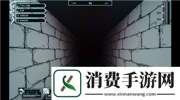 流言侦探最后大家都是怎么选的啊-揭开最终决策背后的秘密和抉择