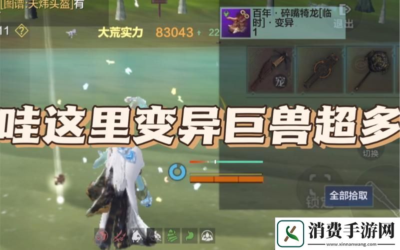 妄想山海饕餮进化丹价格揭秘