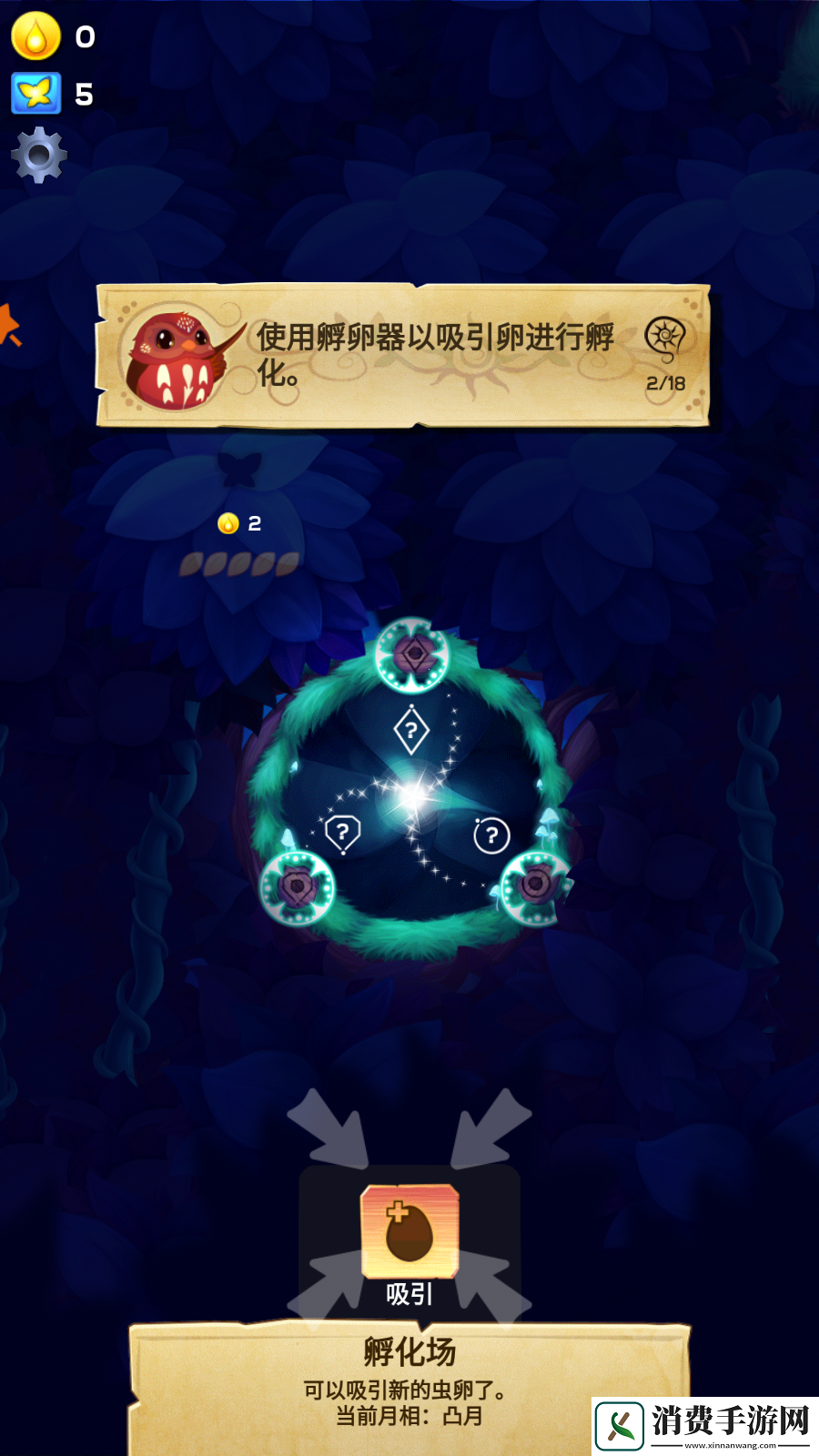 彩翼之星夜