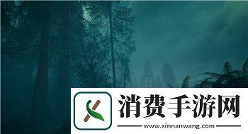 艾兰岛怎么做衣服的样式-探索如何在艾兰岛中制作独特服饰
