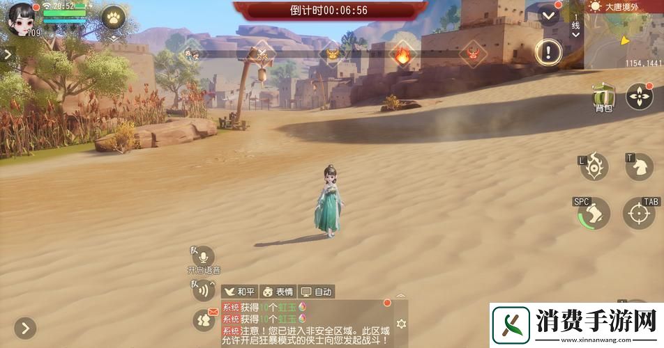 梦幻西游三维版购物指南深入交易系统探索