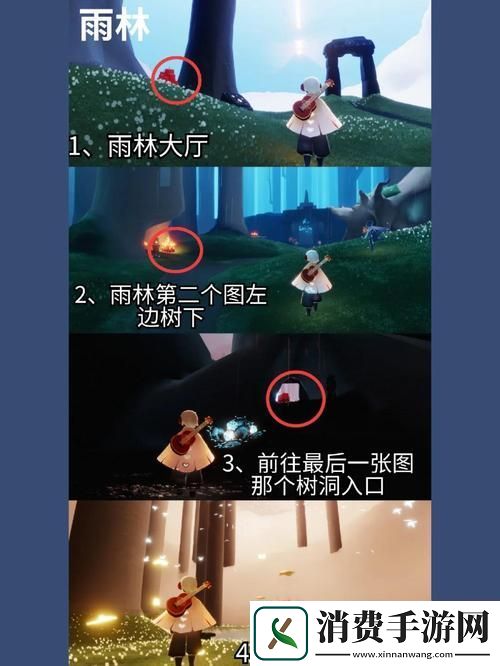 光遇藏宝岛礁彩虹奇遇观赏任务全攻略