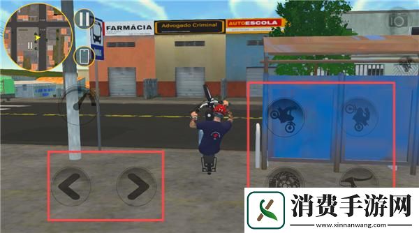 项目学位