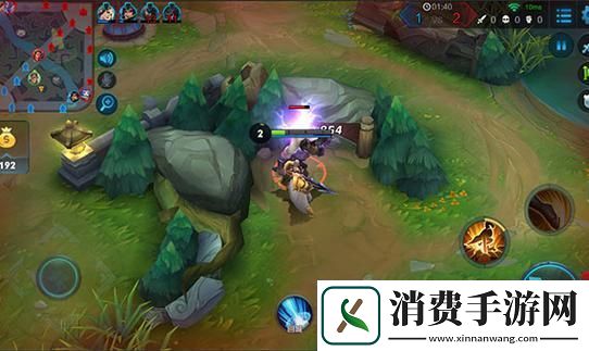 王者荣耀深度解析寒冰惩戒的奥秘与获取之道