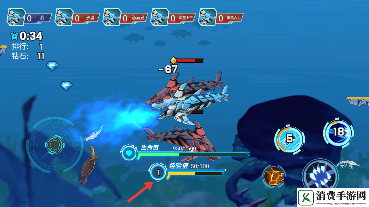 深海探一探
